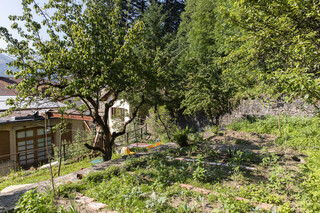 Der Garten