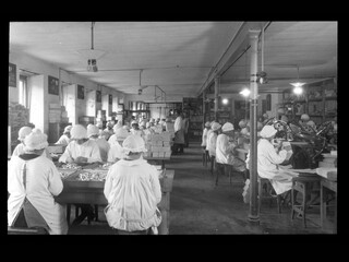 Arbeiter:innen in der Cima Norma