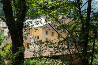 Sicht aus dem Wald