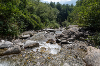 Riale Soi